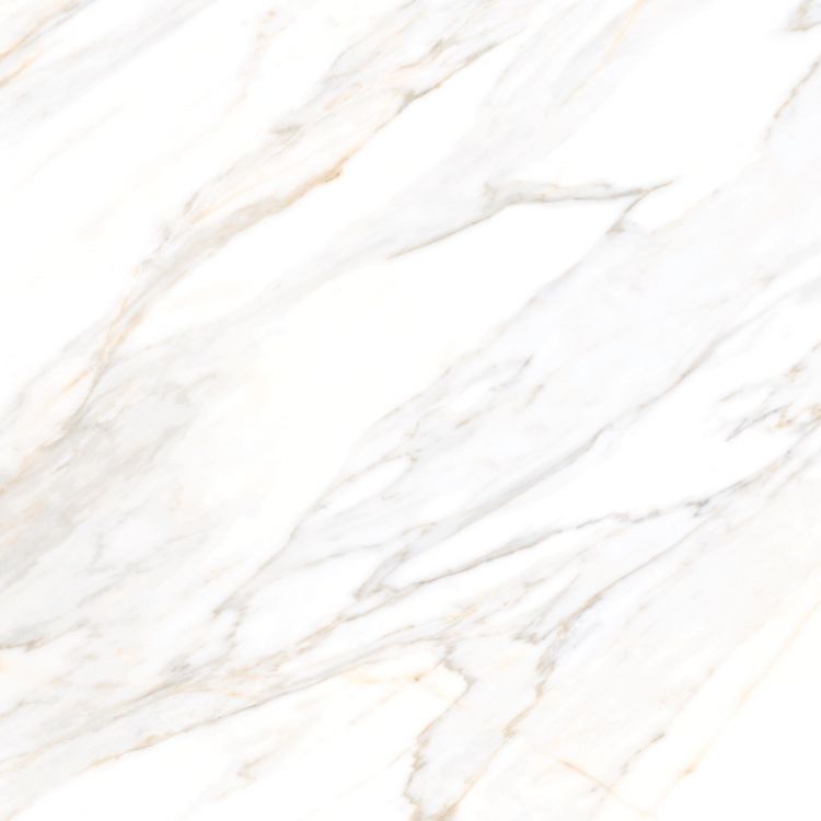 Aurum Calacatta Polished 36 x 36
